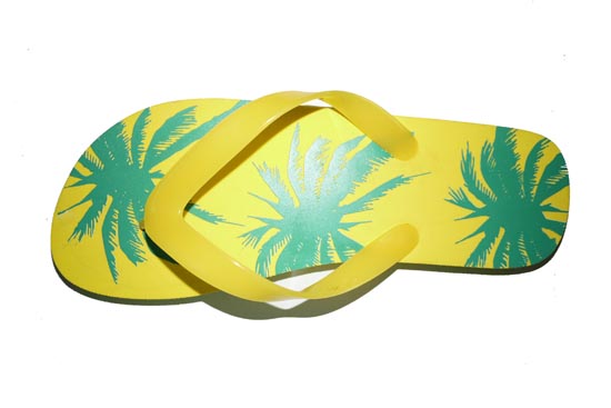 flip flops